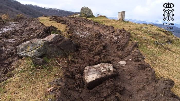 Pagolletako aztarnategi megalitikoa kaltetzeagatik, Foruzaingoak inguru hartan lanean ari zen egurketaria salatu du