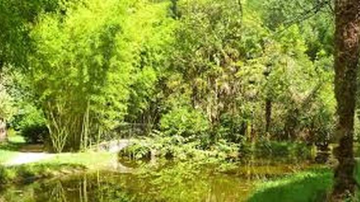 Baztan Bidasoa Turismoa elkartean egun hauetarako prestatzen