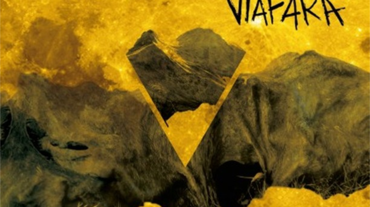 Larunbatean Elizondon ariko den Viafara musika taldeko Aritzekin egon gara