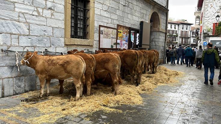 200 azienda baino gehiago plazaratu dituzte Lesakako ferietan