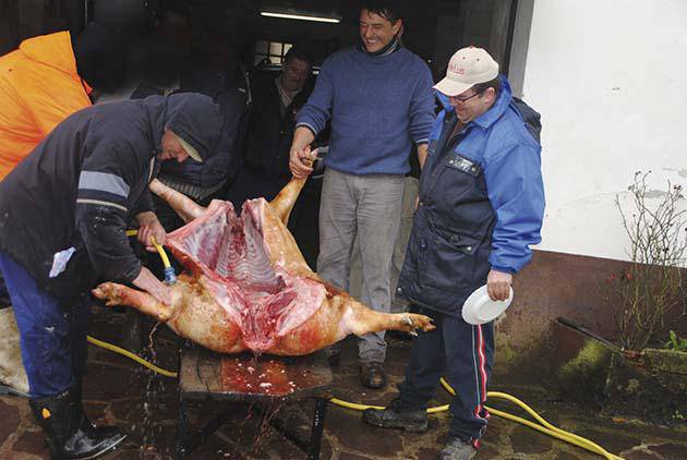 380 kiloko bi txerri hil dituzte txerribodan
