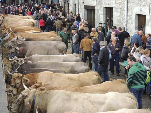 141 azienda plazaratu zituzten feria egunean