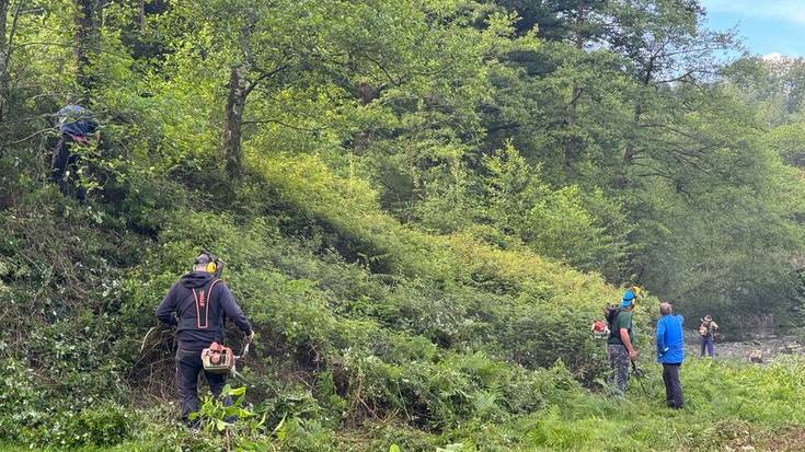 Ibero ingurua auzolanean txukundu dute
