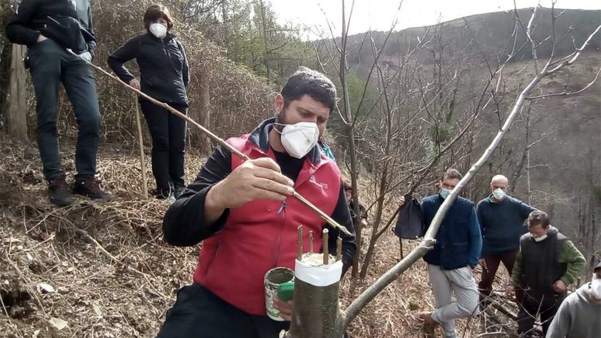 Bertako gaztaina berreskuratzeko proiektuaren barrenean, bertze bi saio antolatu ditu Arantzako Udalak aste honetan