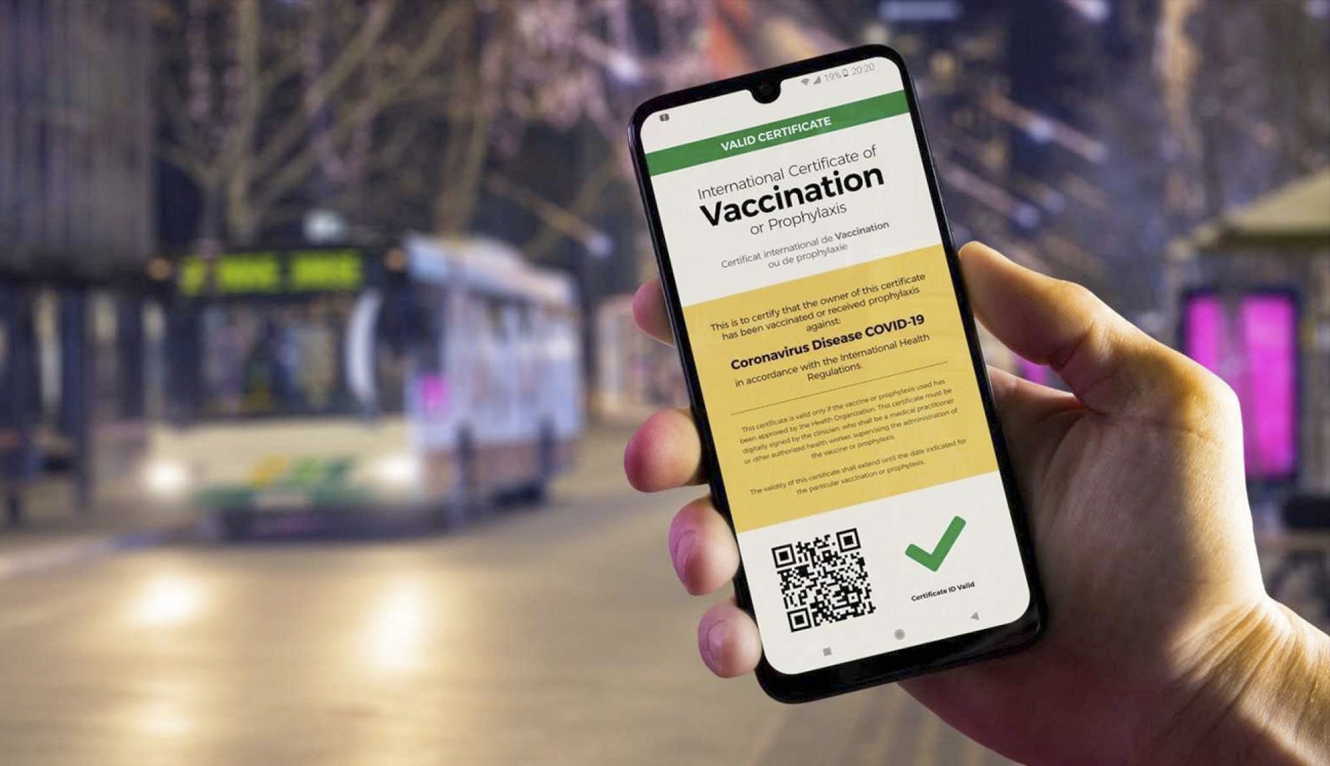 Europar Batasuneko herrialdeetara bidaiatzeko 'COVID-19 ziurtagiri digitala' martxan da Nafarroan
