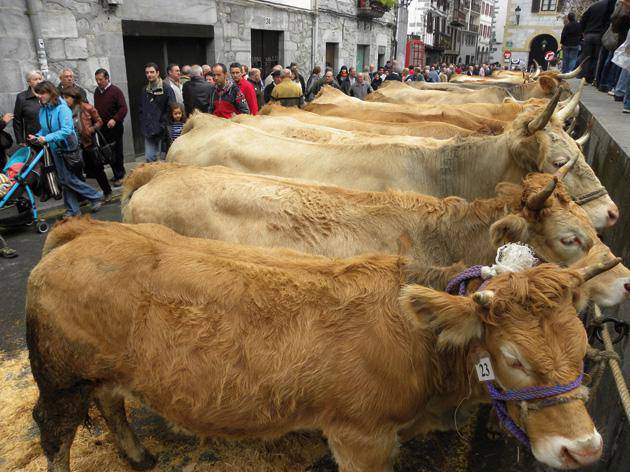 154 azienda plazaratu ziren feria egunean