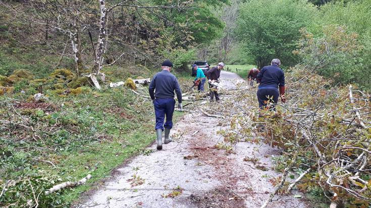 Aitzinera segitzen du Etxalarren Karmenen baserrirako bidea prestatzeko auzolanak