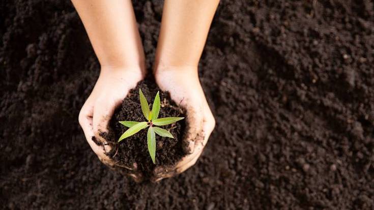 Baztandarrek egindako konposta banutuko da martxoaren 27an