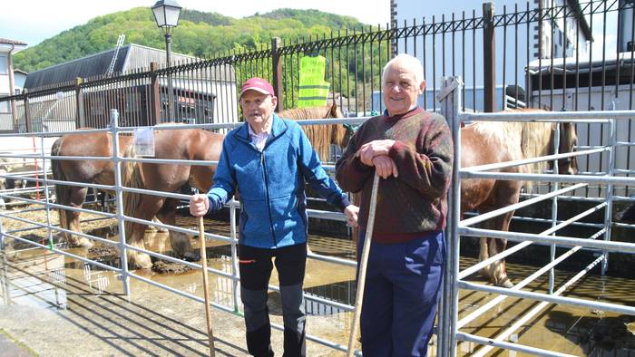 Azienda feriaren IX. edizioa eginen dute Beran larunbatean