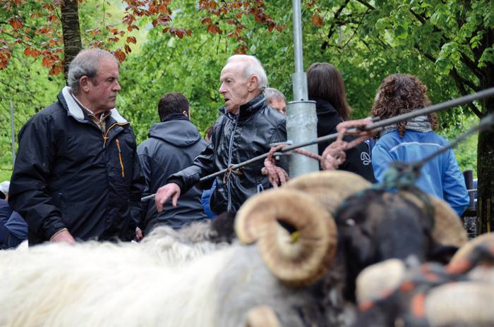 Udaberriko feria apirilaren 1ean eginen dute Elizondon