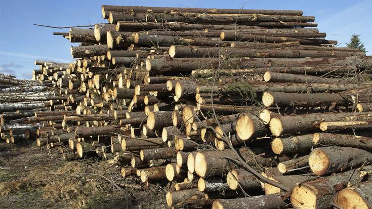 «Hamar egunez Leitzako Zubillaga Saralegi enpresako bi langilek lan istripu larriak» izan dituztela salatu du LABek