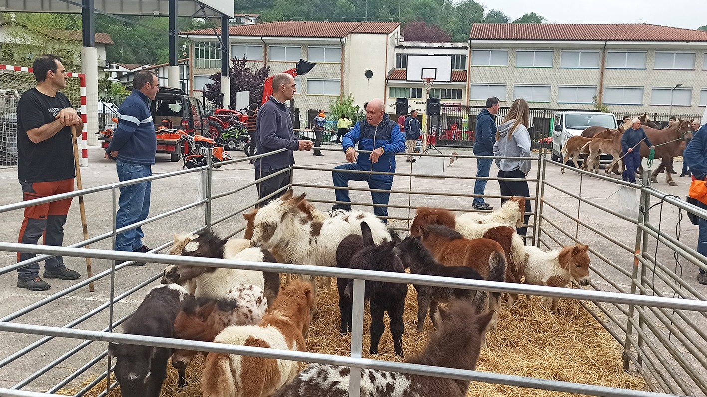Azienda feria eginen dute larunbatean Beran