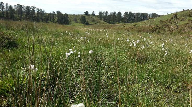 Zohikaztegien papera azpimarratu du Nafarroak Natura 2000 Sarearen Europako Egunean