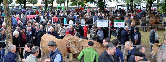 Aterkiak soinean jende aunitz izan da Elizondoko ferietan