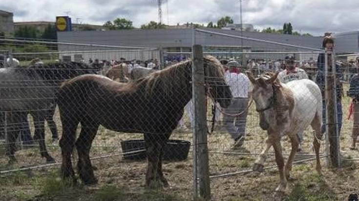 Iruñeko Feria eta mingain urdina solasbide