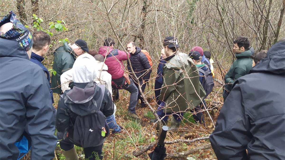 Nafarroako mendialdean gaztainondoak berreskuratzeko proiektuaren bigarren edizioa jarri dute abian