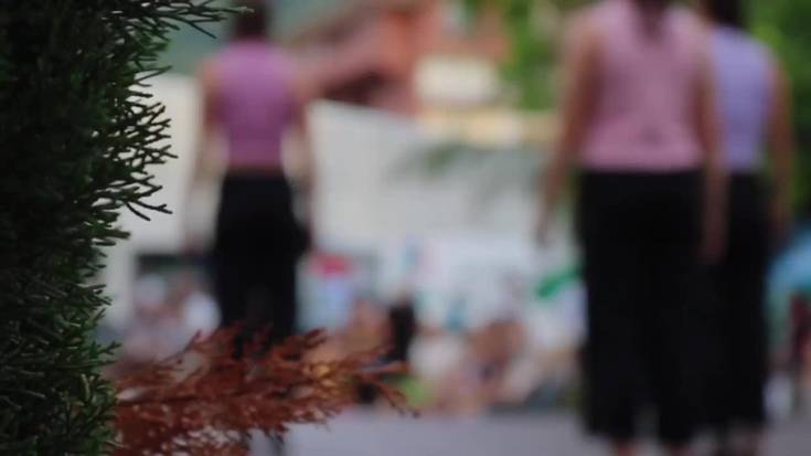 Herriko dantza taldeen topaketa arrakastatsua egin dute Lesakan