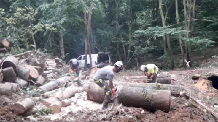 Beran Garaitarreta eta Itzeko errekak garbitzen aritu da Kantauriko Konfederazio Hidrografikoa