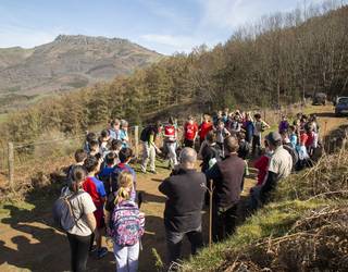 [ARGAZKIAK] Gaztainondoak landatu dituzte Berako Ricardo Baroja eskolako ikasleek