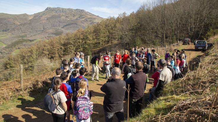 [ARGAZKIAK] Gaztainondoak landatu dituzte Berako Ricardo Baroja eskolako ikasleek