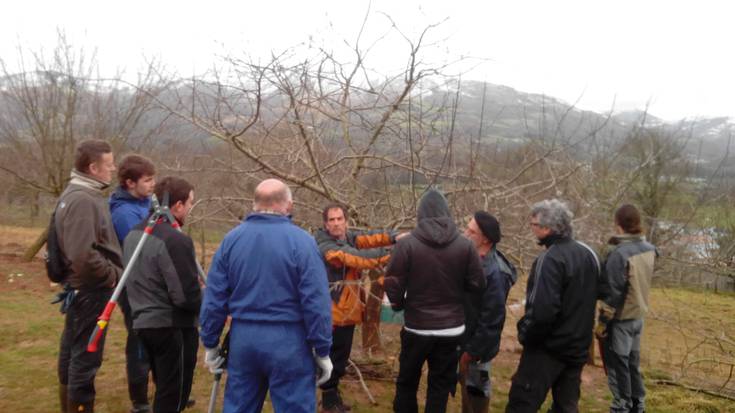 Fruta-arbolak kimatzeko ikastaroa antolatu dute hirugarren urtez Baztanen