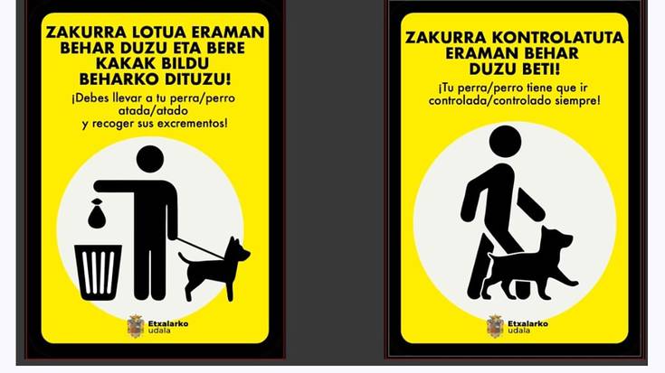 Beraien zakurren ardura hartzea eskatu die Etxalarko Udalak jabeei