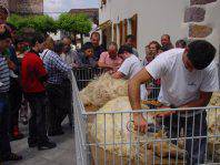 Gasna Feria arrakastatsua