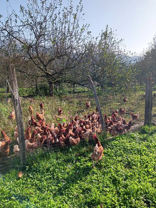 "abereak enzerratzea paranoikoa eta irrazionala da"