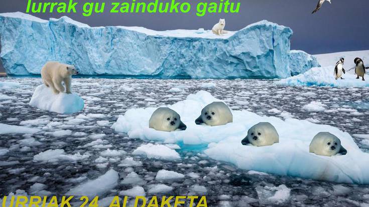 Kartel lehiaketa antolatu du Baztango Talde Ekosozialak 1. batxilergoko ikasleekin