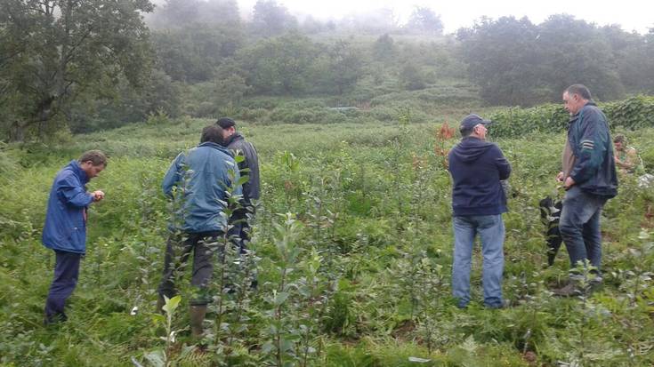 Elutseko mindaitze komunalean zuhaitzak txertatzeko lantegia egin zen