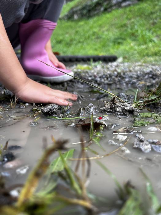 Biofilia proiektuan murgildu da Lesakako Tantirumairu Ikastola