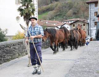 Goizuetako feria azaroaren 30ean