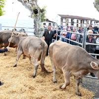 Doneztebeko Udaberriko Feria eta XVII. Ahari Lehiaketa eginen dute ortziralean