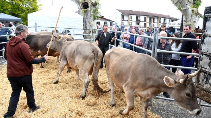 Doneztebeko Udaberriko Feria eta XVII. Ahari Lehiaketa eginen dute ortziralean
