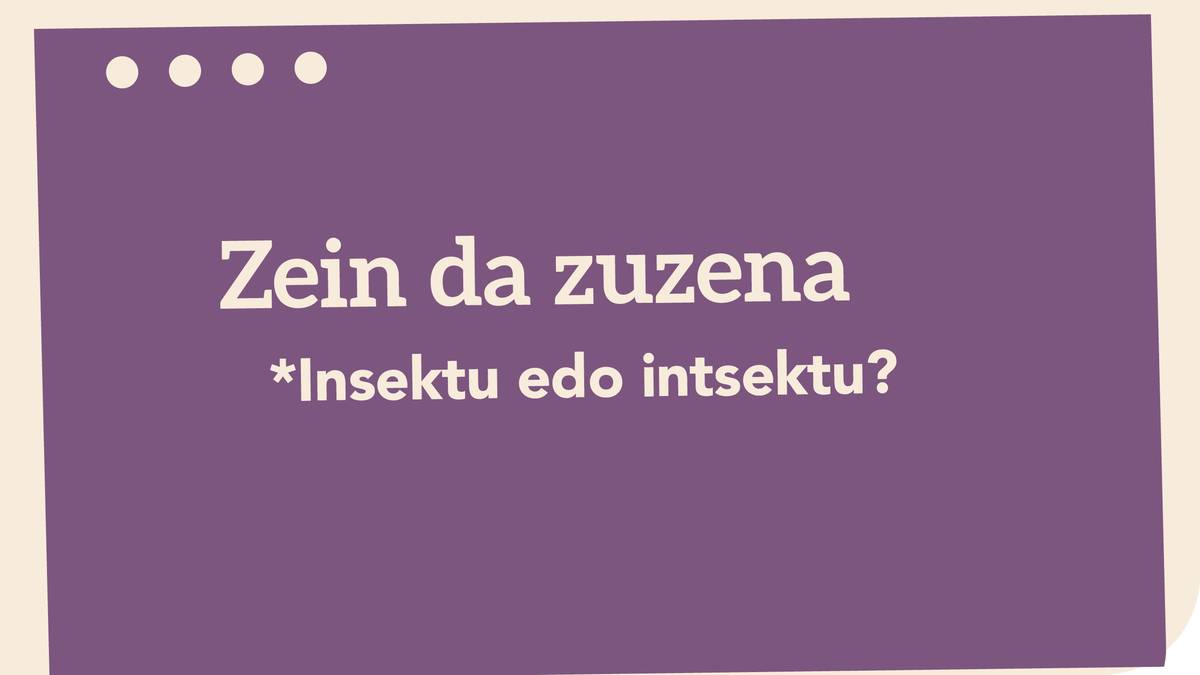 *Insektu edo intsektu?