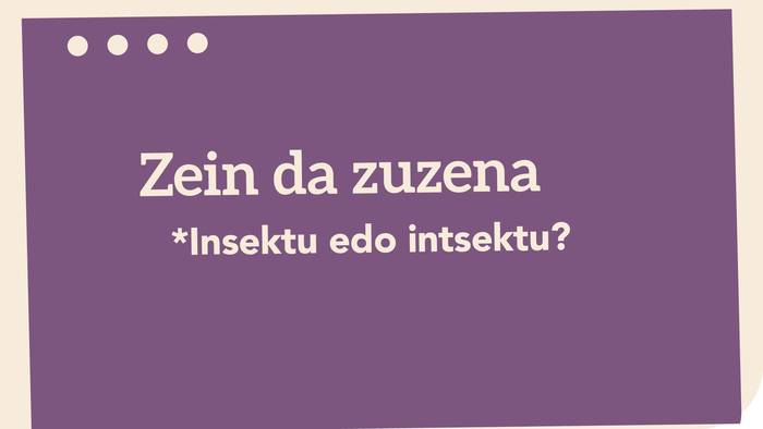 *Insektu edo intsektu?
