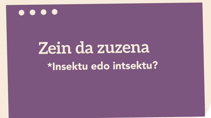 *Insektu edo intsektu?