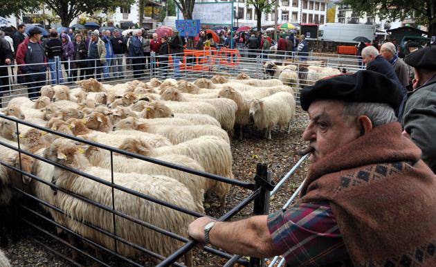 Elizondoko feria jendetsuak 