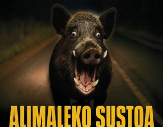 ‘Alimaleko sustoa’ kanpaina abian jarri dute faunarekiko istripuak murrizteko