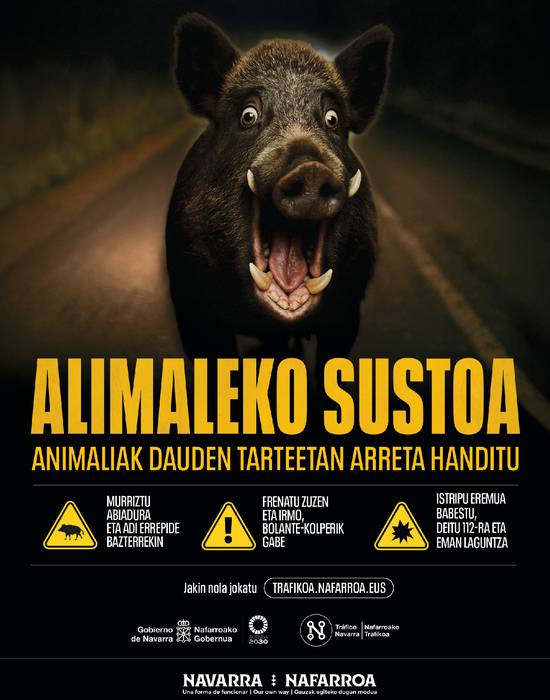 ‘Alimaleko sustoa’ kanpaina abian jarri dute faunarekiko istripuak murrizteko