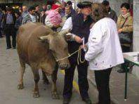 148 azienda aurkeztu ziren Bortzirietako Feria egunean