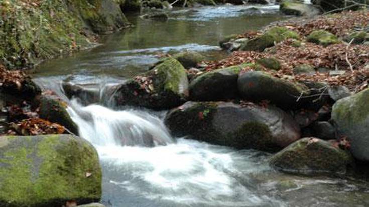 Baztanen 'Escarabajo verde'  telebista saioaren grabazioak egin dituzte