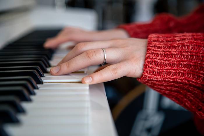Piano kontzertu solidarioa eginen dute igandean Elizondon