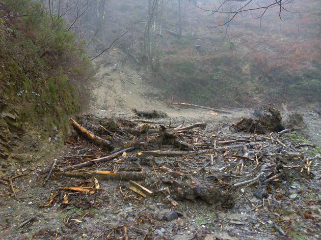 674 litro ur jaso da ilbeltzean Luisenbordako neurrigailuan