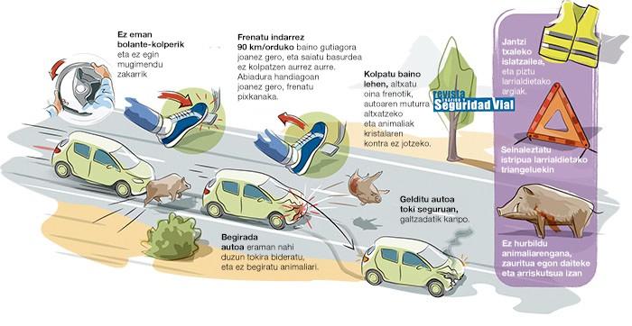 Zer egin errepidean animalia batekin topo eginez gero?