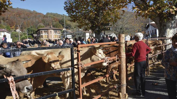 Doneztebeko feriak ospatuko dituzte azaroaren 15ean