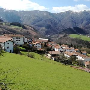 Arantzako udalerako aholkularitza