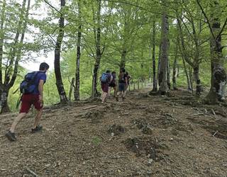 Mendi ibilbideak markatzeko auzolana eginen dute Etxalarren