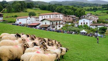 Abuztuaren 15ean XLIX. Artzain Eguna Amaiurren