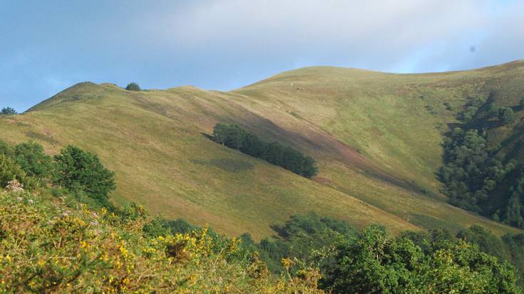 Oihan enkantea prest du Etxalarko Udalak